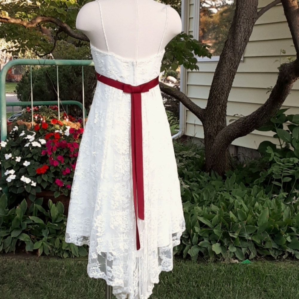 FINAL lvg 9/15 Designer Gown Tea Length wedding quinceanera ball formal - Picture 5 of 16